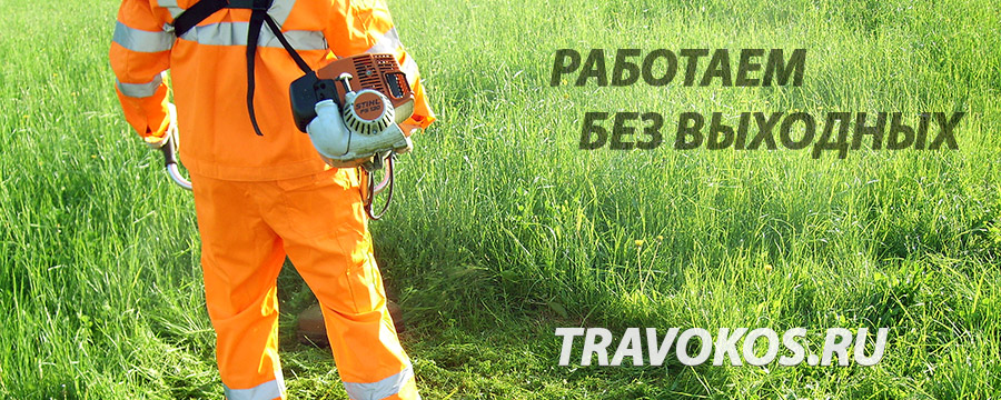 Работаем без выходных